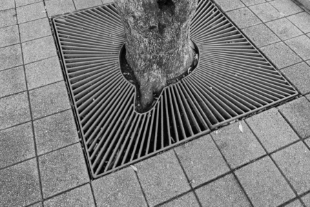 grille de protection pour arbre